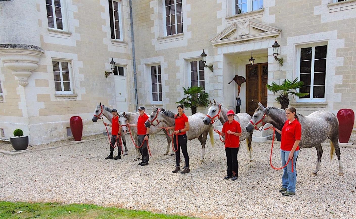 Chateau De Bellevue B&B Et Appartements Avec Piscine Saisonal Chauffee Et Chambres Partout Climatisees Saint-Avit  エクステリア 写真