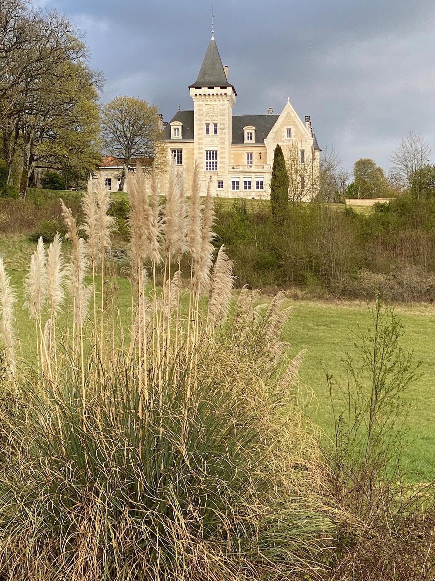 Chateau De Bellevue B&B Et Appartements Avec Piscine Saisonal Chauffee Et Chambres Partout Climatisees Saint-Avit  エクステリア 写真